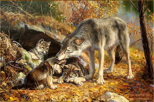 волчица и волчата