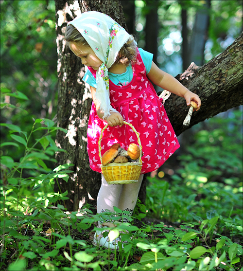 Маленькая девочка в лесу собирает грибы в корзину